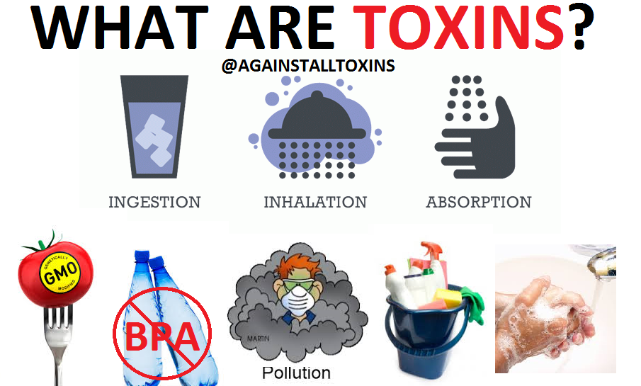 Types Of Toxins Look Feel Better Today