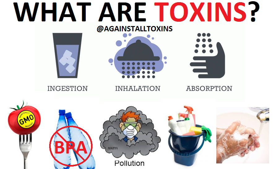 what-are-toxins